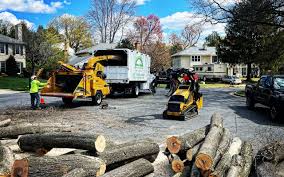 Best Grass Overseeding  in Idaho Springs, CO
